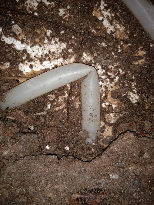 大英堵点精准查找